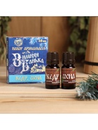 Новогодний набор эфирных масел «Зимняя банька!», кедр, сосна, 2 шт. по 10 мл - Фото 2