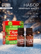 Новогодний набор эфирных масел «С новым годом! С легким паром!», пихта, кедр, 2 шт. по 10 мл - Фото 1