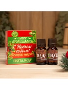 Новогодний набор эфирных масел «С новым годом! С легким паром!», пихта, кедр, 2 шт. по 10 мл - Фото 2