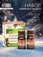 Новогодний набор эфирных масел «Крепкого здоровья в новом году!», эвкалипт, мята, 2 шт. по 10 мл - Фото 1