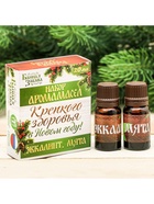 Новогодний набор эфирных масел «Крепкого здоровья в новом году!», эвкалипт, мята, 2 шт. по 10 мл - Фото 2