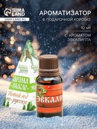 Новогоднее эфирное масло «Новый год по-русски!», эвкалипт, 15 мл - Фото 1