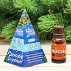 Новогоднее эфирное масло «Крепкого здоровья в Новом году!», сосна, 15 мл - Фото 1