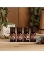 Новогодний набор эфирных масел «Любимому папе в Новый год!», мята, апельсин, кедр, эвкалипт, 4 шт. по 10 мл - Фото 2