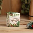 Новогодний набор эфирных масел «Любимому папе в Новый год!», мята, апельсин, кедр, эвкалипт, 4 шт. по 10 мл - Фото 3