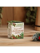 Новогодний набор эфирных масел «Любимому папе в Новый год!», мята, апельсин, кедр, эвкалипт, 4 шт. по 10 мл - Фото 4