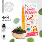 Чай чёрный «выпускной детский сад: Любимому воспитателю»: с ароматом мяты, 100 г. - Фото 1