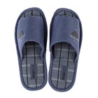 Тапочки мужские домашние TinGo, размер 42, голубые - Фото 1