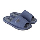 Тапочки мужские домашние TinGo, размер 42, голубые - Фото 2