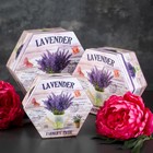 Набор коробок 3 в 1, 19×19×9 - 14×14×7 см 2489141