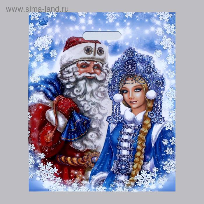 Пакет "Долгожданные гости", полиэтиленовый с вырубной ручкой, 40 х 31 см, 60 мкм - Фото 1