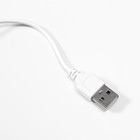 Лампа настольная прищепка сенсор 3 режима LEDх14 "Золотая полоса" лупа USB, 3ААА 44х15х6 см RISALUX - Фото 9