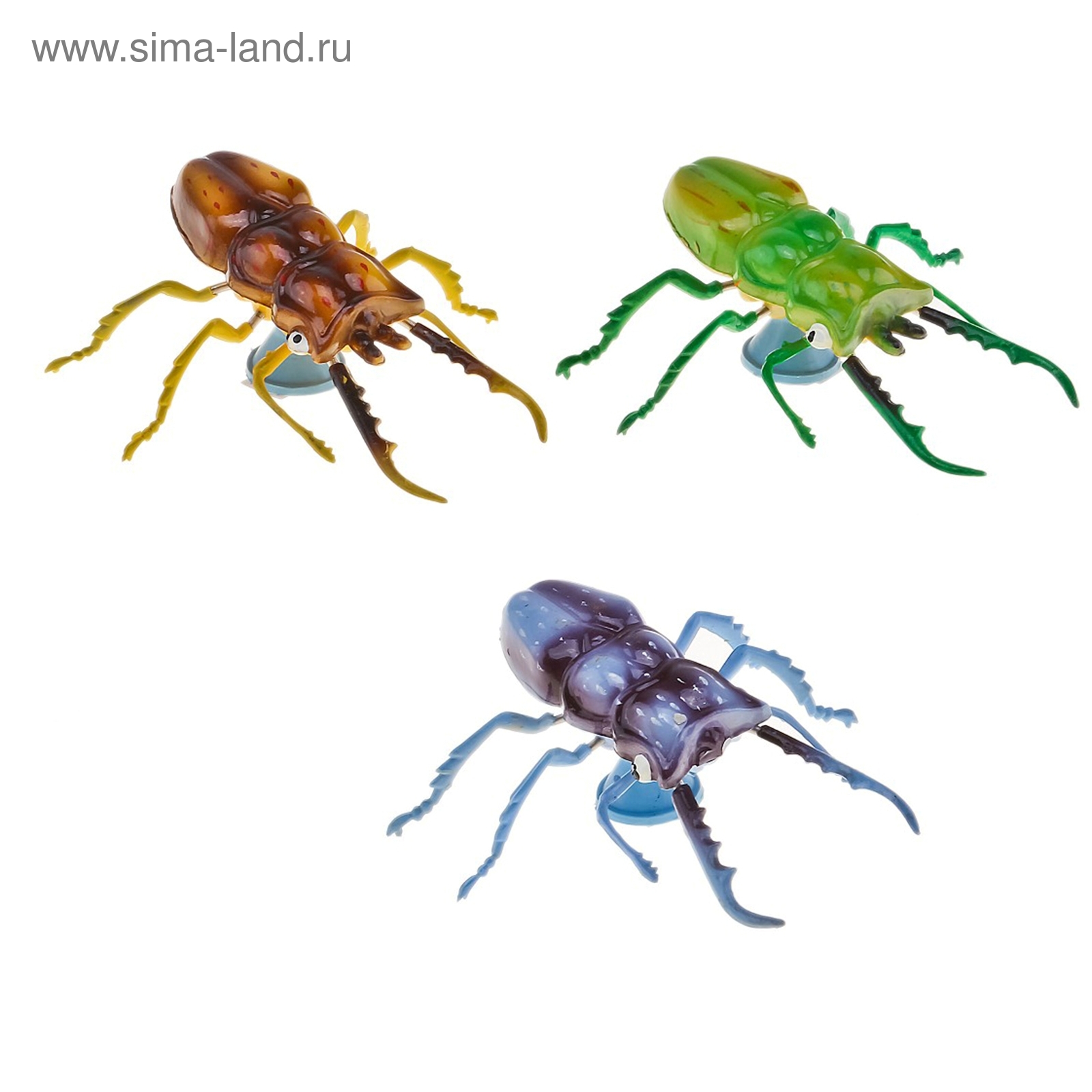 Коробейник жук