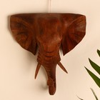 Сувенир дерево "Голова слона" 20х5х18 см - фото 8723370