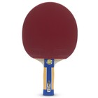 Ракетка для настольного тенниса Atemi PRO 1000 AN - Фото 1