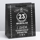 Пакет подарочный ламинированный вертикальный, упаковка, «Защитнику», ML 23 х 27 х 11,5 см - Фото 5