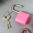 Замочек с ключиком для шкатулки металл, пластик набор 5 шт С286  3,1х1,9 см - фото 8414335