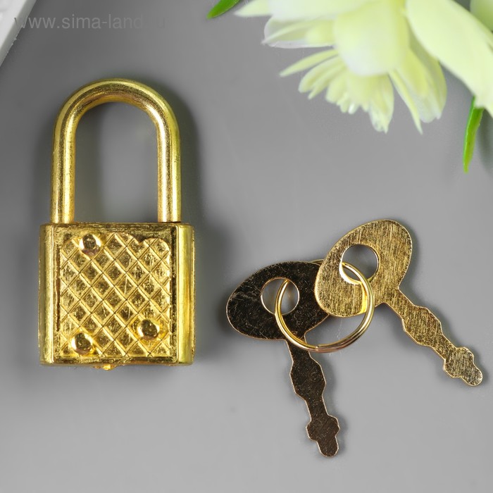 Замочек с ключиком для шкатулки металл набор 5 шт С286 золото 3,1х1,7 см - Фото 1