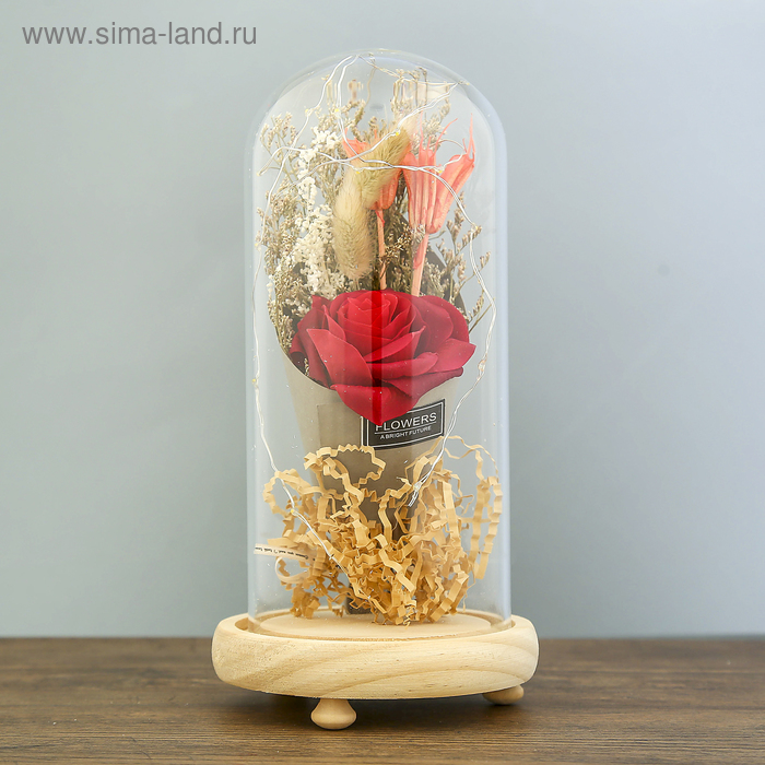 Фигурка светящаяся RISALUX «Колба с розой в букете», LED-ночник, 3×ААА, 23×11×11 см, МИКС - Фото 1