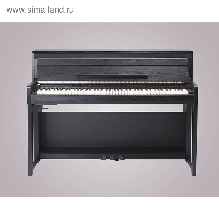 Цифровое пианино Medeli DP650K - Фото 1