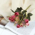 Букет искусственный «Ранункулюс с шариками», 2×24 см, МИКС - Фото 1