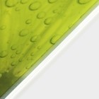 Доска разделочная стеклянная Доляна «Сочный лайм», 30×20 см - Фото 3