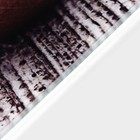 Доска разделочная стеклянная Доляна «Нежная малина», 30×20 см 3259611