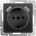 Розетка с заземлением, шторками и USBх2  WL08-SKGS-USBx2-IP20, цвет черный - фото 4076025