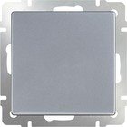 Выключатель одноклавишный  WL06-SW-1G, цвет серебряный - фото 4076233