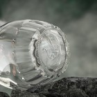 Графин «Дионис», стеклянный, 450 мл - фото 8909299