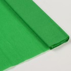 Бумага крепированная 50 х 200 см, в рулоне, 32 г/м2, зелёная - Фото 1
