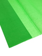 Бумага крепированная 50?200 см, в рулоне, 32 г/м?, зелёная (комплект 10 шт) - фото 59309103