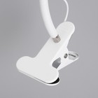 Лампа настольная RISALUX «Офисный белый», светодиодная, на прищепке, от USB, 11×7.5×60.5 см - Фото 8