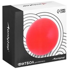 Фитбол ONLYTOP, d=65 см, 900 г, антивзрыв, серый - Фото 5