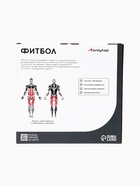 Фитбол ONLYTOP, d=85 см, 1400 г, антивзрыв, цвет голубой - Фото 11