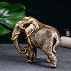 Фигура "Слон африканский" бронза, 18х9х13см - фото 8415062