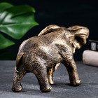 Фигура "Слон африканский" бронза, 18х9х13см - фото 8415063