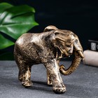 Фигура "Слон африканский" бронза, 18х9х13см - фото 8415064
