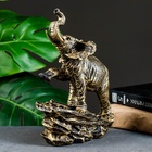 Фигурка полистоун «Слон», 16×8×24 см 3865172