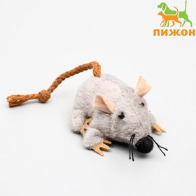 Игрушка для кошек "Грызун", 8,5 см 3467303