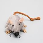 Игрушка для кошек «Грызун», 8.5 см, микс - Фото 3