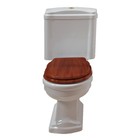 Сиденье Cezares Royal Palace CZR-T-012W-S-G - Фото 3