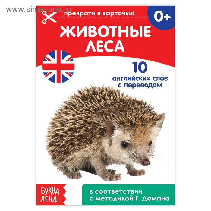 Обучающая книга по методике Г. Домана «Животные леса. Английский язык», 24 стр. - Фото 1