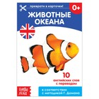 Обучающая книга по методике Г. Домана «Животные океана. Английский язык», 24 стр. - Фото 1