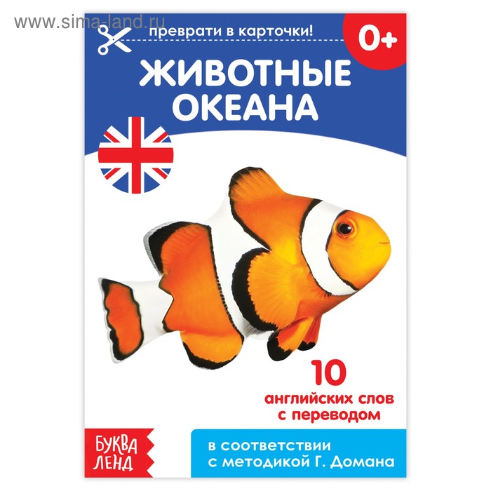 Обучающая книга по методике Г. Домана «Животные океана. Английский язык», 24 стр. - Фото 1