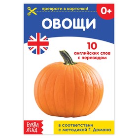 Обучающая книга по методике Г. Домана «Овощи. Английский язык», 24 стр.