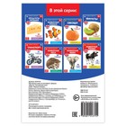 Обучающая книга по методике Г. Домана «Фрукты. Английский язык», 24 стр. - Фото 3