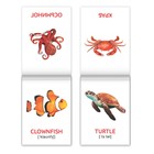 Книги «Карточки Домана на английском языке», набор 8 шт. по 24 стр. - Фото 7