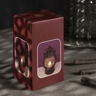 Светодиодная фигура «Серебристый фонарь» 8 × 13 × 7 см, пластик, батарейки AG13х3 (в комплекте), свечение тёплое белое - Фото 5