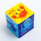 Мягкий кубик «Морской мир» со свистулькой, размер 7х7 см, для купания 3546060 - фото 14676544